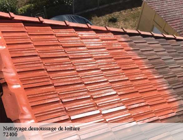 Nettoyage demoussage de toiture  aveze-72400 Artisan Chasagrande
