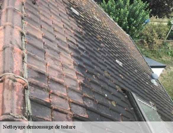 Nettoyage demoussage de toiture  aveze-72400 Artisan Chasagrande