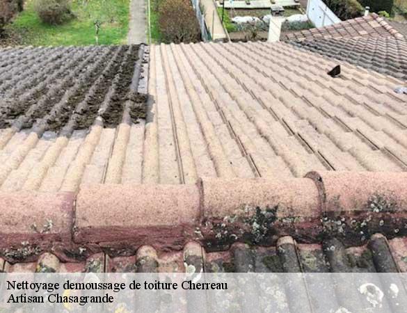 Nettoyage demoussage de toiture  cherreau-72400 Artisan Chasagrande