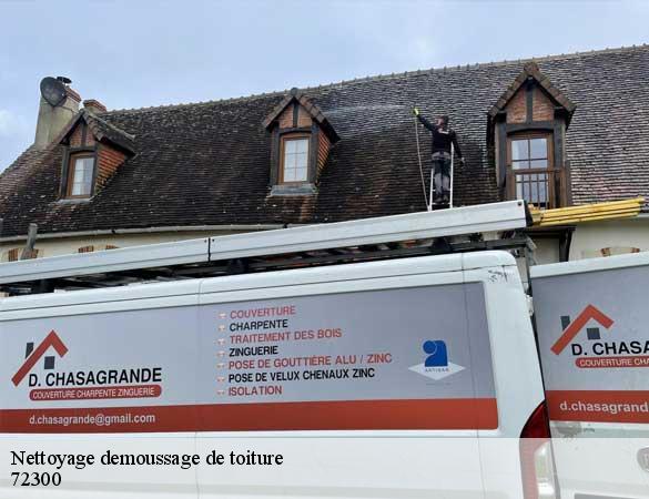 Nettoyage demoussage de toiture  parce-sur-sarthe-72300 Artisan Chasagrande