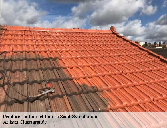 Peinture sur tuile et toiture  saint-symphorien-72240 Artisan Chasagrande