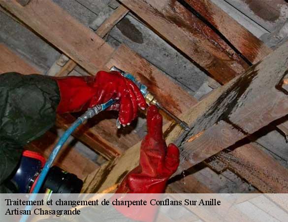 Traitement et changement de charpente  conflans-sur-anille-72120 Artisan Chasagrande