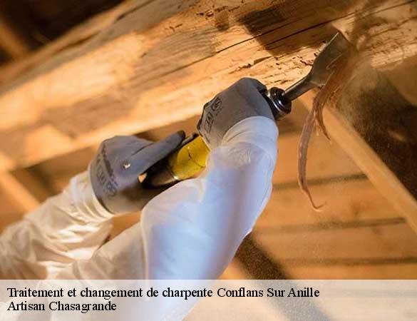 Traitement et changement de charpente  conflans-sur-anille-72120 Artisan Chasagrande