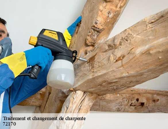 Traitement et changement de charpente  segrie-72170 Artisan Chasagrande