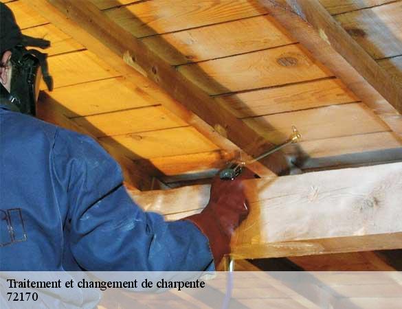 Traitement et changement de charpente  segrie-72170 Artisan Chasagrande